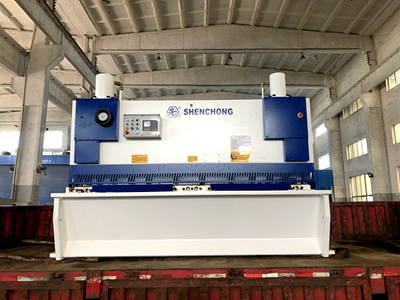 Automobile Manufacturing Shearing Machine 8x2500 E21